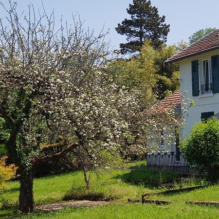 La Petite Sommiere Apartment Besançon Exterior foto