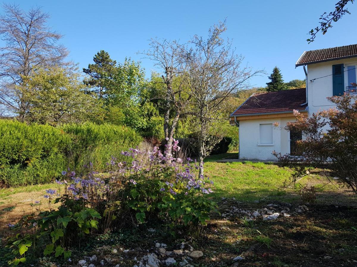 La Petite Sommiere Apartment Besançon Exterior foto