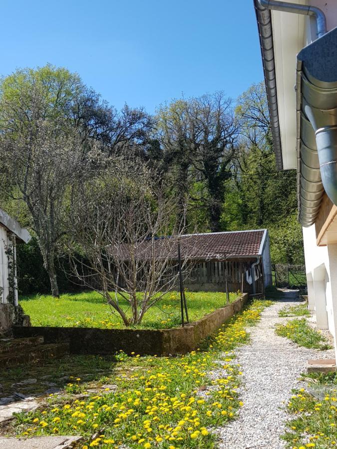 La Petite Sommiere Apartment Besançon Exterior foto