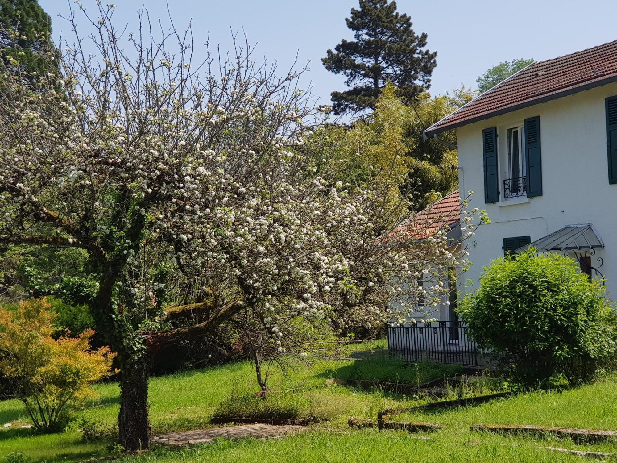 La Petite Sommiere Apartment Besançon Exterior foto